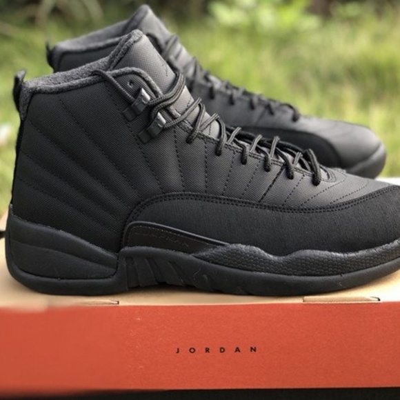 jordan 11 winterized